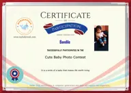 Locked Certificate Preview