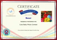 Locked Certificate Preview