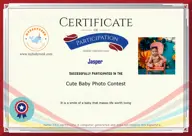 Locked Certificate Preview