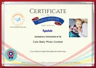 Locked Certificate Preview