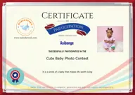 Locked Certificate Preview
