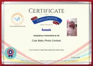 Locked Certificate Preview