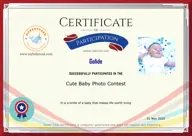 Locked Certificate Preview