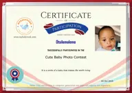 Locked Certificate Preview