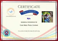 Locked Certificate Preview